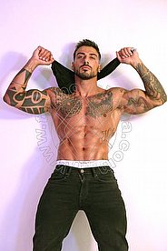 Foto di Robby Torello