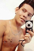  Rio De Janeiro Diogo Souza 0055.21998647174 foto selfie 2